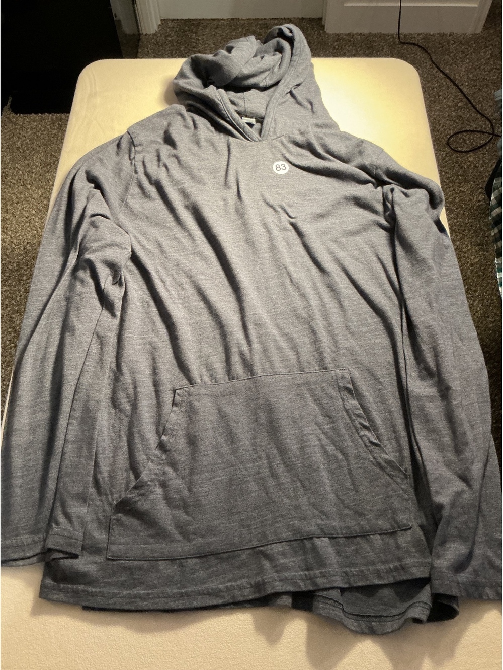 Alternative Apparel gray hooded long sleeve top 3XL